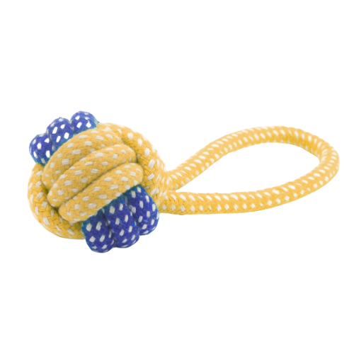 Hundespielzeug aus geflochtenem Seil mit Knoten und Schlaufe vor transparenten Hintergrund.